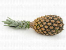 Ananas Sweet de coloration verte ; fruit non déverdi